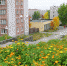 Улице Пушкина пора меняться - Газета Городское время